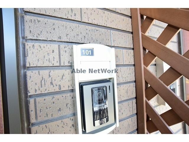  パッシィオーネT