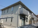  Cセミカ
