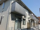  Cセミカ