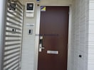  Cセミカ