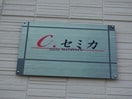 C.セミカ Cセミカ