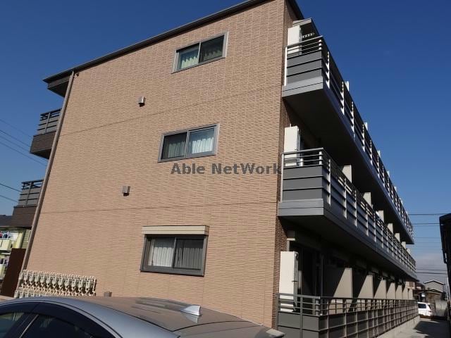  Cedar Wood シダーウッド