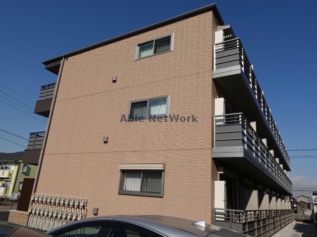  Cedar Wood シダーウッド