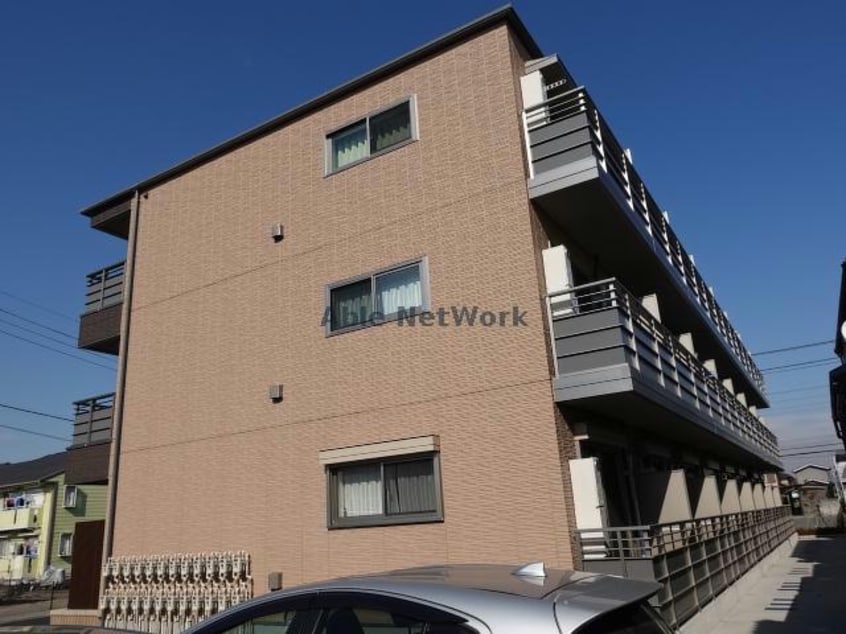  Cedar Wood シダーウッド