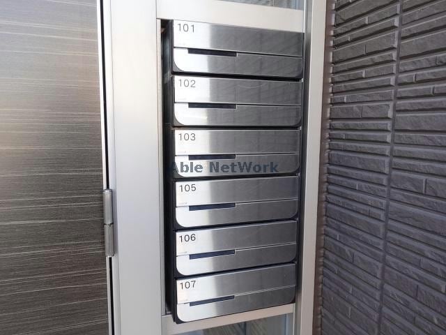  Cedar Wood シダーウッド