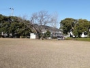 公園(公園)まで10m※公園目の前です。(^^♪ リオハイト