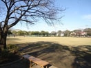 潮見公園(公園)まで1194m ココアムール