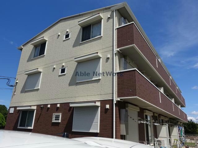  コットンパレス