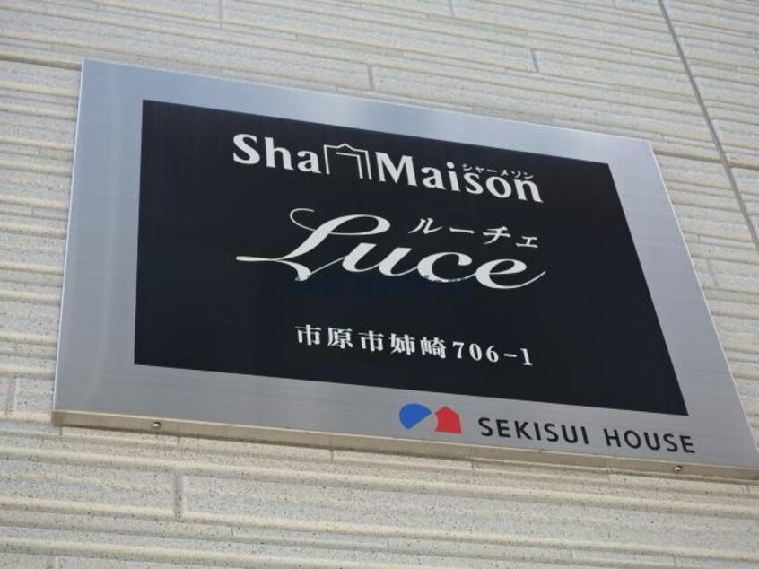  ルーチェ(姉崎)