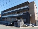 モリスステーション