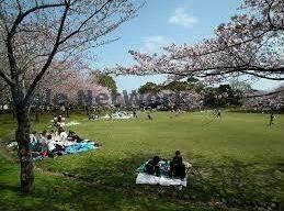 権現森公園(公園)まで887m 内房線/五井駅 バス15分青柳下車:停歩4分 3階 築2年