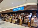 カルディコーヒーファームアリオ市原店(スーパー)まで1209m 小湊鉄道/上総村上駅 徒歩21分 2階 築1年