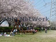 北五井緑道(公園)まで455m ラシーヌ