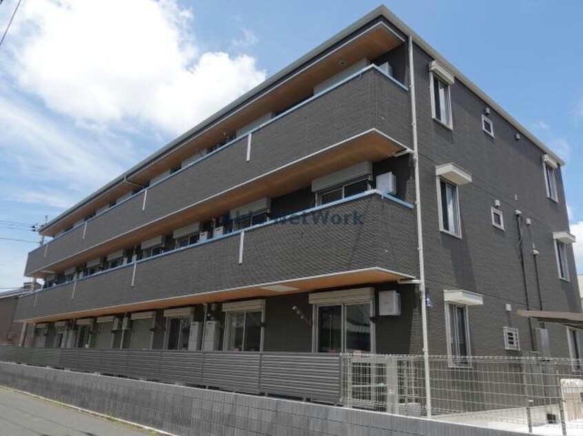  シャイングレイス