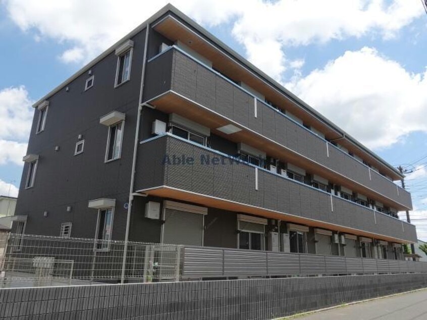  シャイングレイス