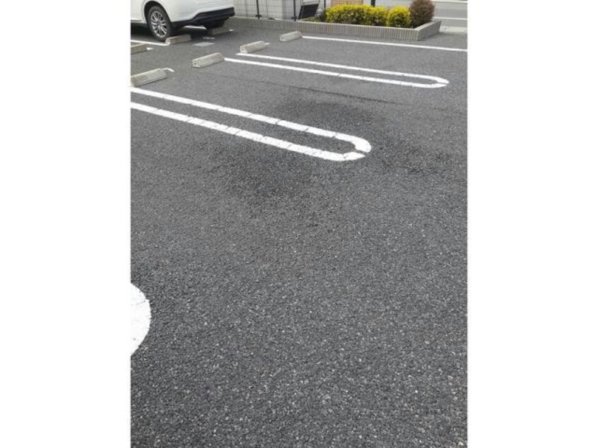  アリエルヴィオラＡ