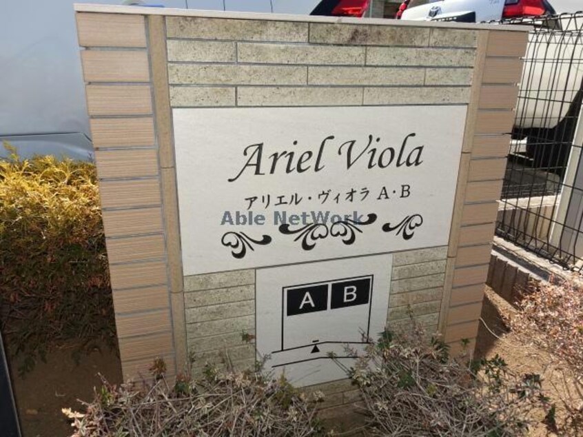  アリエルヴィオラＡ