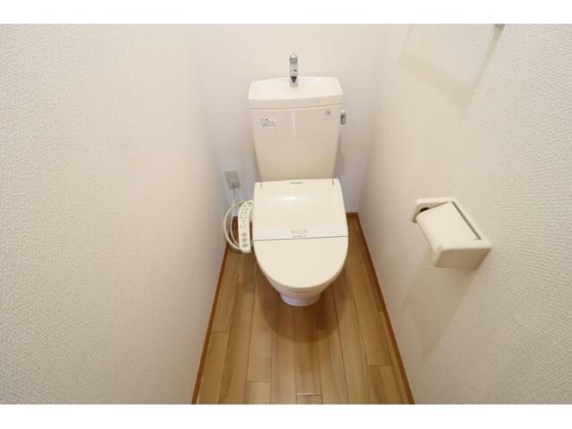  ロビンストリーム