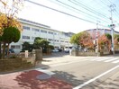 徳島市立八万小学校(小学校)まで798m シャトル沖浜Ｃ