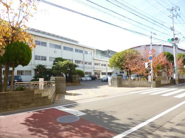 徳島市立八万小学校(小学校)まで1304m コーポ二丈