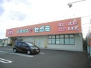 ドラッグセガミ西須賀店(ドラッグストア)まで1043m 矢田荘