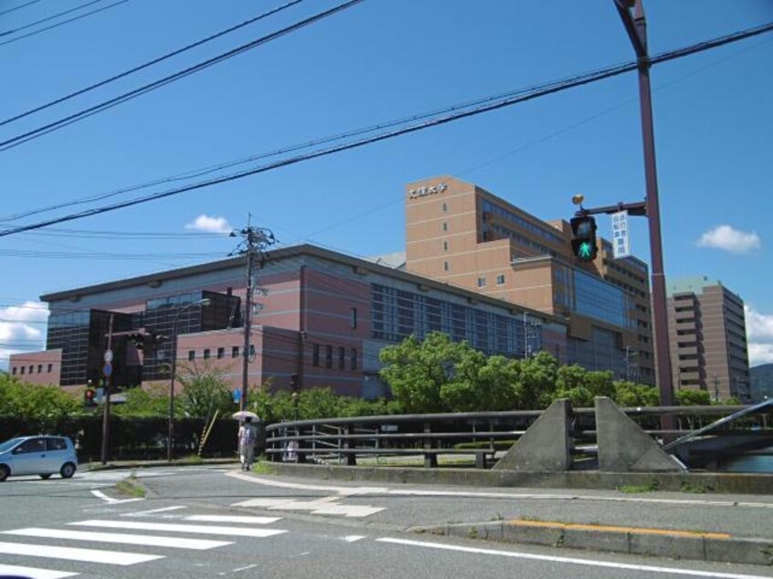 私立徳島文理大学(大学/短大/専門学校)まで697m サンヴィレッジ山城