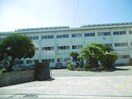 徳島市立八万小学校(小学校)まで812m シャトル二軒屋