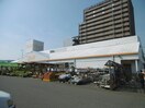 ホームキーパーデコール沖浜店(電気量販店/ホームセンター)まで1436m プレジール南昭和