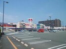 マルナカスーパーセンター徳島店(スーパー)まで2112m カーサ　アルベロディピノＡ