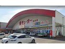 ダイソーチューオー国府店(ディスカウントショップ)まで1554m メイユール