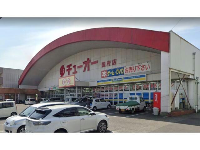 ダイソーチューオー国府店(ディスカウントショップ)まで1554m メイユール