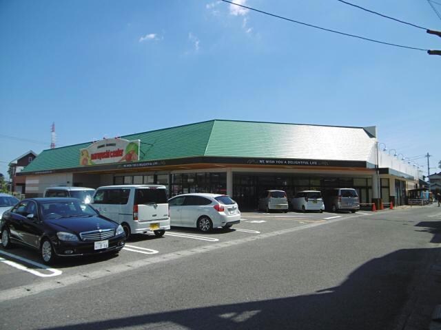 マルヨシセンター八万店(スーパー)まで2387m 宮崎マンション