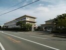 徳島市立富田小学校(小学校)まで271m シャーメゾンかちどき橋