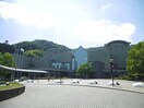 徳島市立図書館(図書館)まで2374m セレノ城南Ａ