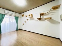 カサコモダ６