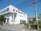 徳島市立八万中学校(中学校/中等教育学校)まで2308m カーサ八万Ⅱ