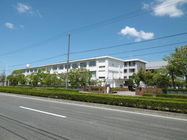 徳島市立城東中学校(中学校/中等教育学校)まで844m フェアリー大和町