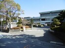 徳島市立八万南小学校(小学校)まで331m クリエ・ガーデン