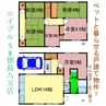 牟岐線/二軒屋駅 徒歩15分 1-2階 築61年 6LDKの間取り