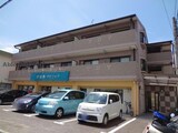 パレス・タドリ