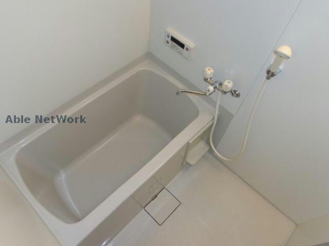 同型モデル Surplus ラーム・ふじ