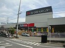 DCMカーマ松河戸インター店(電気量販店/ホームセンター)まで1141m レインボービシュウ