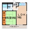 １sｔコーポ櫻井 1LDKの間取り