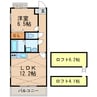 AUGUSTA 1LDKの間取り