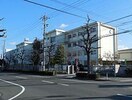 名古屋市立守山西中学校(中学校/中等教育学校)まで336m リブレＭ鳥神