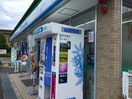 ファミリーマート楠あじま三丁目店(コンビニ)まで427m 貸家（中新町1）
