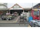 ロイヤルホームセンター新守山店(電気量販店/ホームセンター)まで329m ビレンテ守山