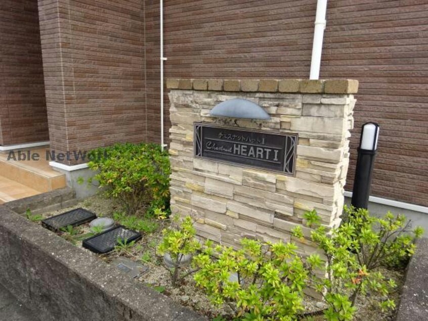  チェスナットハートⅠ