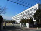 名古屋市立白沢小学校(小学校)まで620m パークヒルズ城土