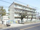 春日井市立上条小学校(小学校)まで394m アヴニール（上条町）